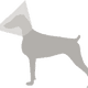 Illustration for article titled How to Avoid the Cone of Shame for Dogs Post Surgery